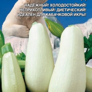 кабачок Северный Мишка*УД